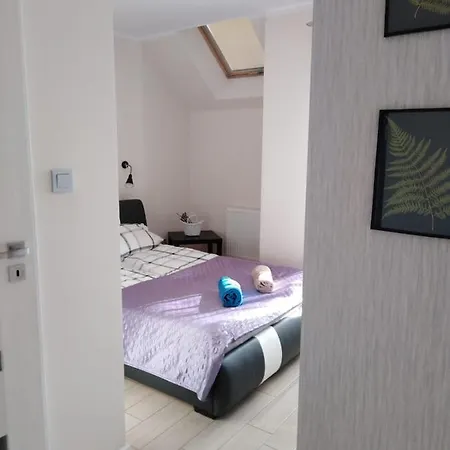 Z Pieknym Widokiem Ogrodowa Parkowe Polanica-Zdrój