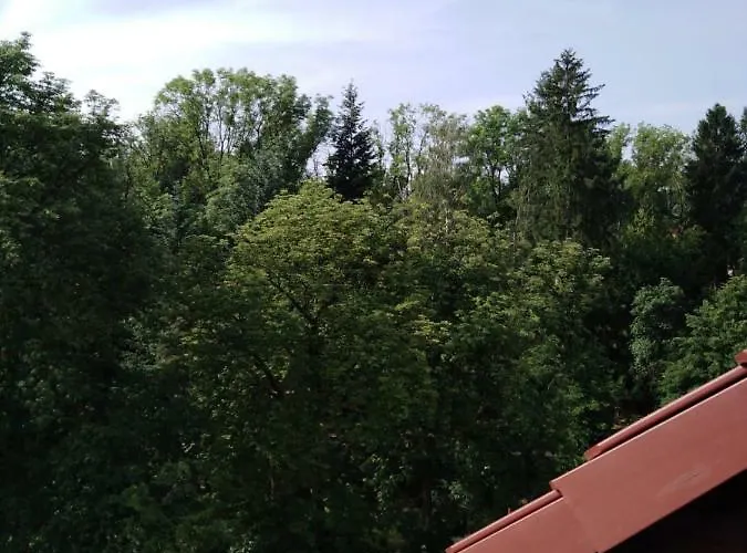 Z Pieknym Widokiem Ogrodowa Parkowe